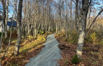 Viser snarvei gjennom skog tett på boligfelt